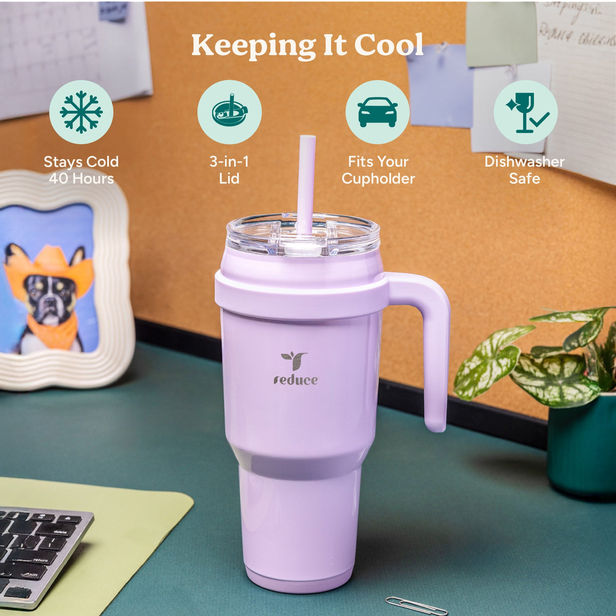 cold1-40-oz-z2 Cold1_40oz_PalmLeaf_Infographic_1.jpg