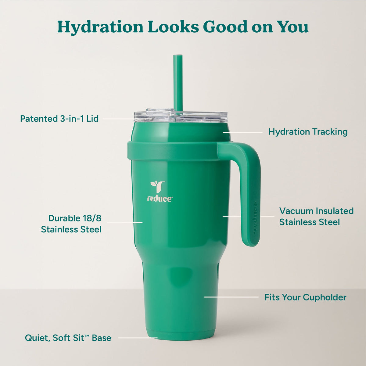 cold1-40-oz-z2 Cold1_40oz_PalmLeaf_Infographic_2.jpg