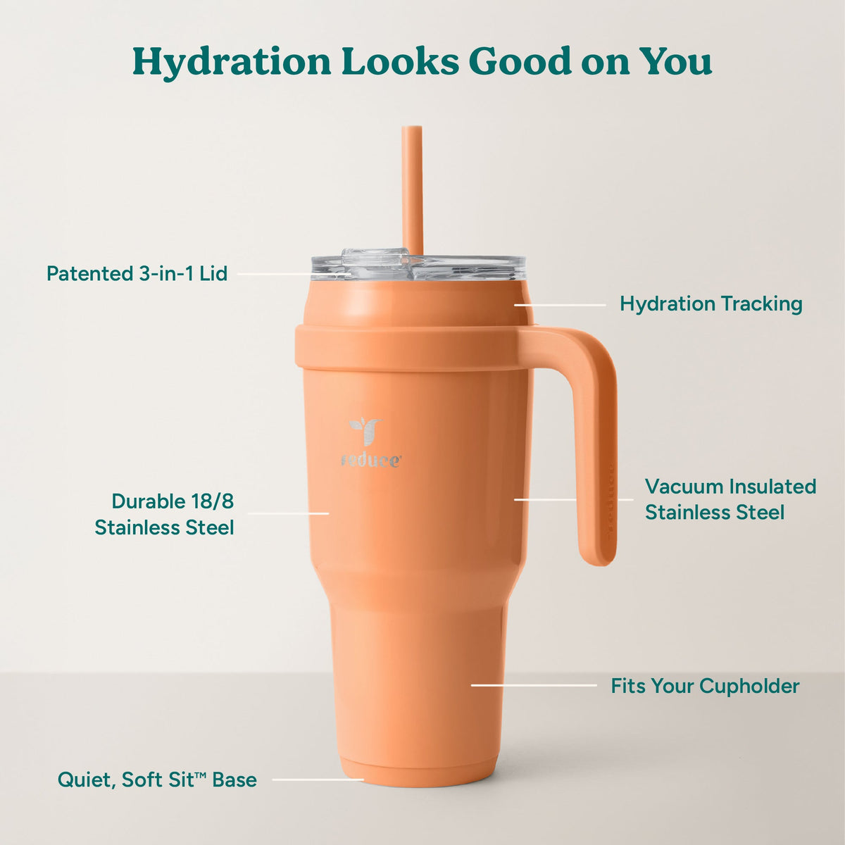 cold1-40-oz-z2 Cold1_40oz_Papaya_Infographic_2.jpg